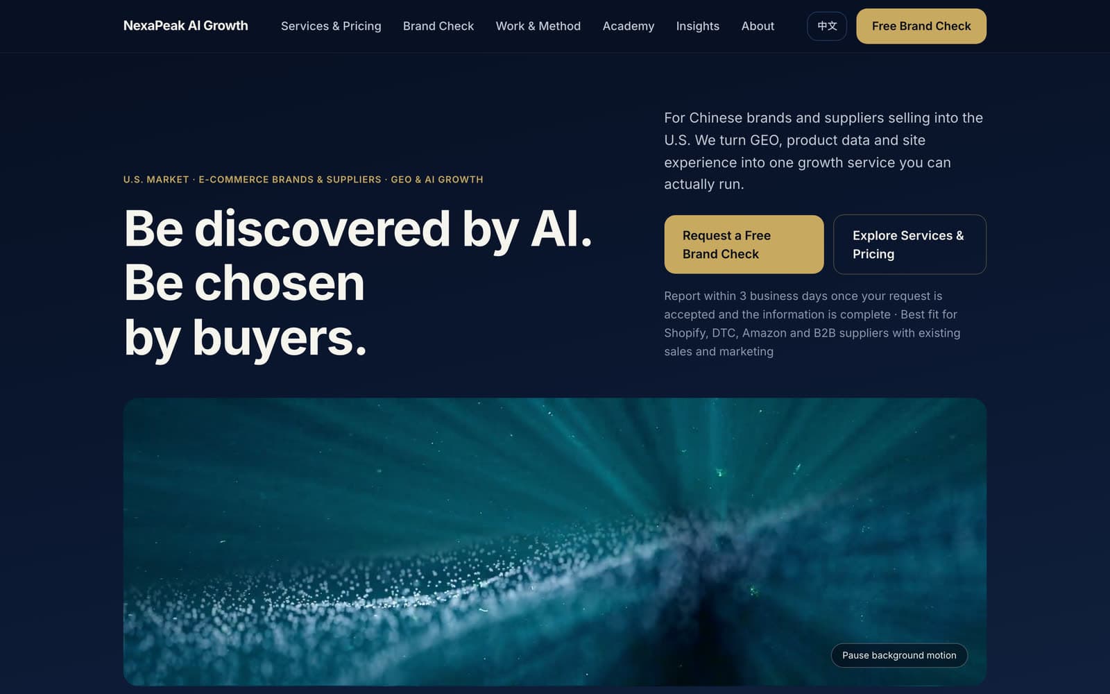 NexaPeak candidate homepage: headline and buttons on top, a full-width image below, then the three-step service track